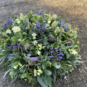 fwthumbIMG_2152 wild posy.jpg